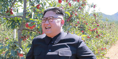 Nordkorea: Trumps Drohung nur Hundegebell