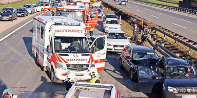 A1: Massen-Crash wegen Hund