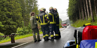 Unfall zwischen Waldhausen und St. Nikola
