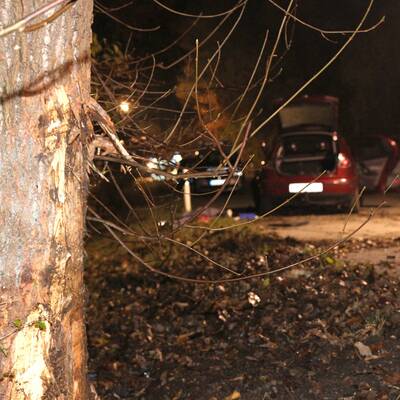 Der junge Mann fuhr ohne Schein