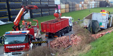 Horror-Gestank bei Crash mit Fleisch-Lkw