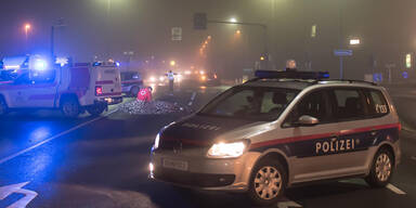 65-Jährige auf Zebrastreifen getötet