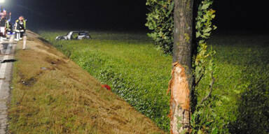 Zwei Tote bei Horror-Crash in Himberg