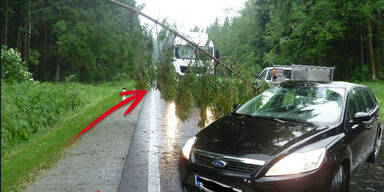 Fahrendes Auto von Baum erschlagen
