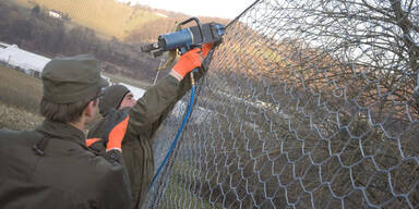 Ungarn erw&auml;gt neuen Zaun an rum&auml;nischer Grenze
