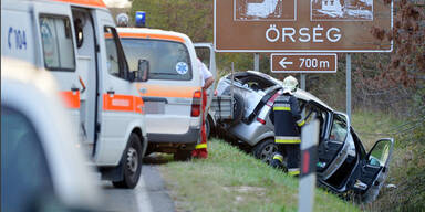 Steirer stirbt bei Frontal-Crash 