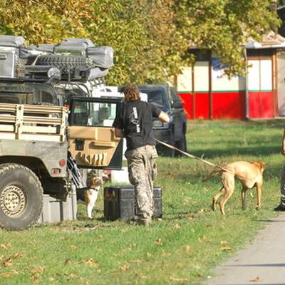 Ungarn: Polizist nach Verfolgungsjagd tot