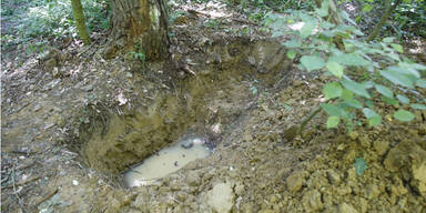 Sex-Mord: Leiche in Ungarn gefunden 