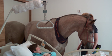 unheilbare kinder (1).png