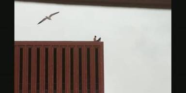 Studenten treiben es auf dem Uni-Dach