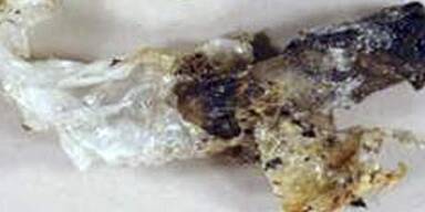 Al Kaida bekennt sich zu Anschlag