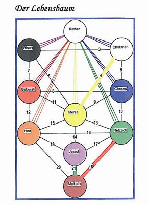 Lebensbaum Lebens Analyse