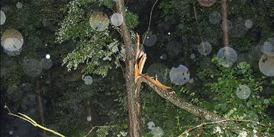 Neue Nacht der ­Blitze in Wien