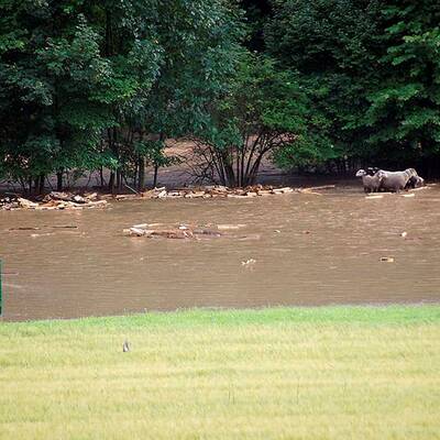 Schwere Unwetter im Bezirk Murau