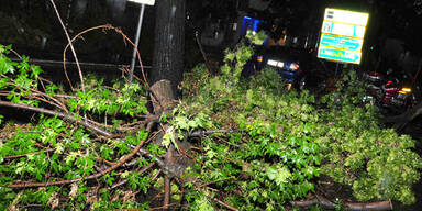 Unwetter im Waldviertel