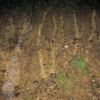 Heftige Unwetter in Kärnten