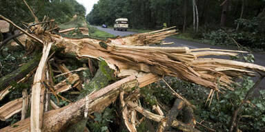 Schwere Unwetter verwüsteten Norddeutschland