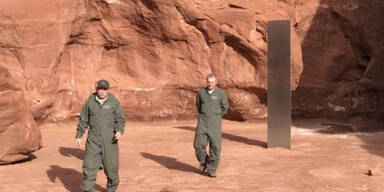 Beh&ouml;rden wollen Schafe z&auml;hlen &ndash; und entdecken DAS