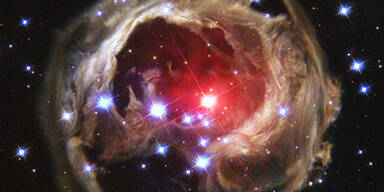 V838 Menocerotis