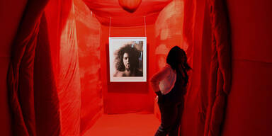 Südafrika: Begehbare Vagina eröffnet