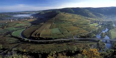 "Sch&ouml;nberg als Windkraftberg&ldquo;: Waldviertler gegen "Ausverkauf ihrer Heimat&ldquo;