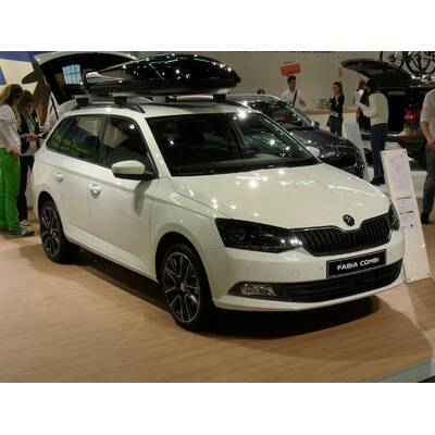 VAS 2015 - Pressekonferenz