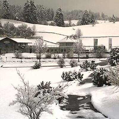 Schnee in Österreich