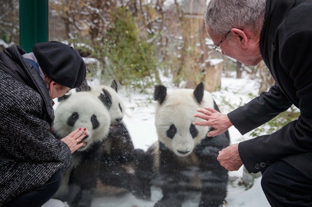 Hier verabschiedet VdB die Panda-Zwillinge
