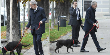 Hier geht Van der Bellen mit seinem Hund spazieren