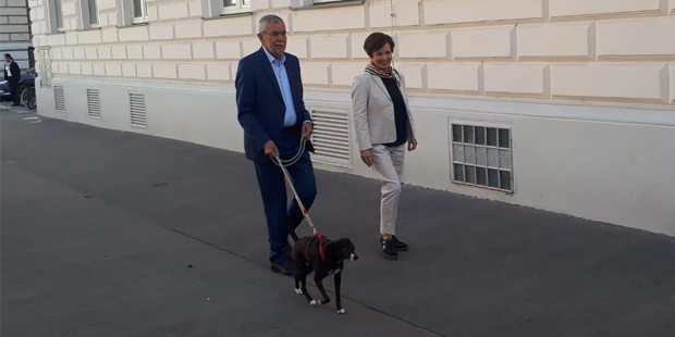 'First Dog' Juli war der heimliche Star des Tages