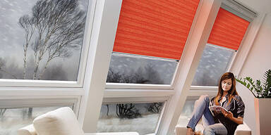 Velux Farberatung gewinnen