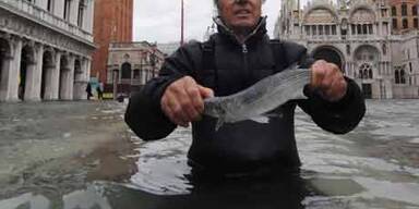 Halb Venedig steht unter Wasser