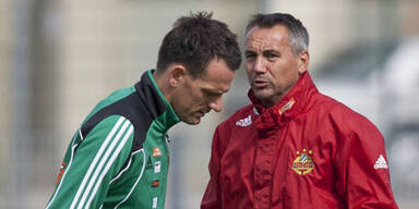 Rapid: Kein Leiberl für Vennegoor?