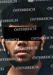 15 Festnahmen nach Terror in Wien: Das sind die Verdächtigen