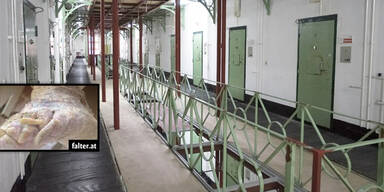 Verwahrlosungs-Fall: 74-J&auml;hriger zu Unrecht in Haft?