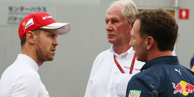 "Vettel holt den Titel"