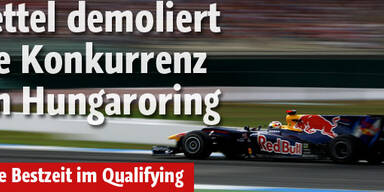 Vettel auch in Ungarn aus der Pole