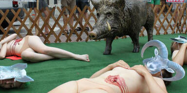 Nackt-Protest vor dem Stephansdom