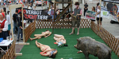 Nackt-Protest vor dem Stephansdom