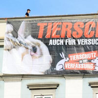 Tierschützer hängen in der Luft