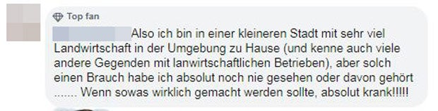 Kuh-Kopf aufgespießt: Dieser 