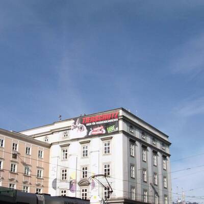 Tierschützer hängen in der Luft