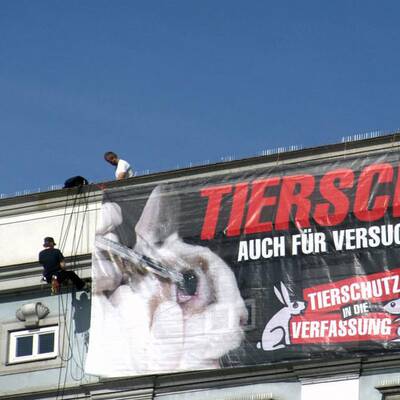 Tierschützer hängen in der Luft