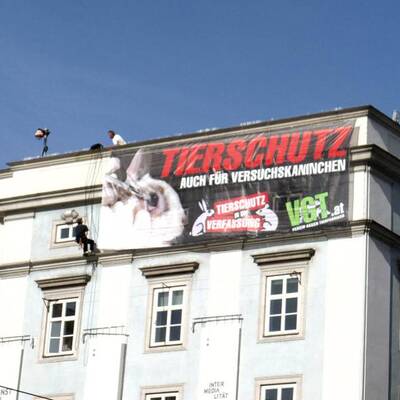 Tierschützer hängen in der Luft