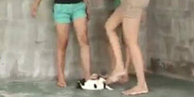 Paar dreht Folter-Videos mit Kindern und Tieren