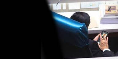 Politiker schaut sich Porno im Parlament an