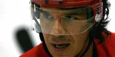 viveiros_gepa_konsole