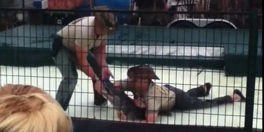 Alligator bei&szlig;t Trainer bei Show in den Arm