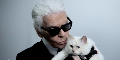 Lagerfeld k&uuml;sst seine Katze f&uuml;r Kampagne