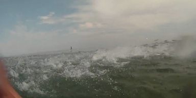 Springende Fische &uuml;berraschen Badeg&auml;ste